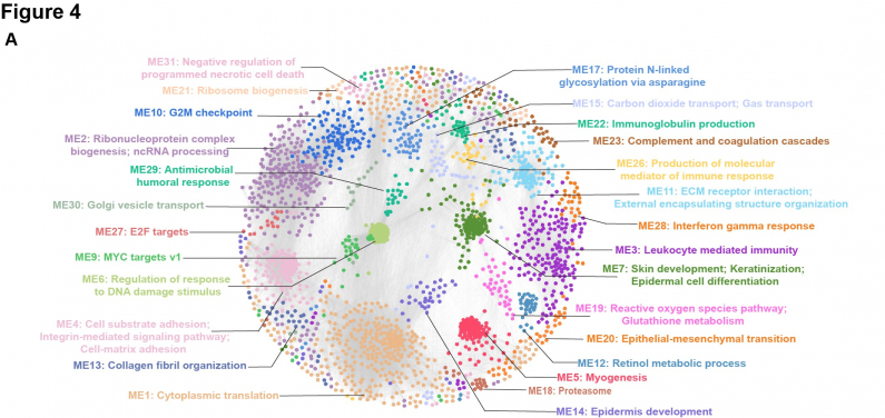 Protein co-expression network with distinct functional modules