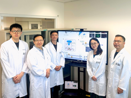 A research team, led by Dr Han Dong (third left) and Professor Liu Pengtao (second left), has discovered a previously unknown type of neural stem cell located outside the experimental mouse central nervous system, opening up transformative possibilities in regenerative medicine for treating neurological diseases and injuries.
 