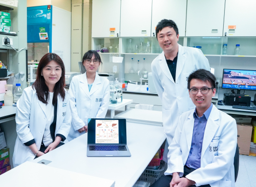 A HKUMed research co-led by Professor Stephanie Ma Kwai-yee (first left) and Professor Clive Chung Yik-sham (first right), paves the way for significant advancement in hepatocellular carcinoma (HCC) treatment by identifying a key protein that fuels tumour growth and developing an inhibitor that can improve treatment outcomes.