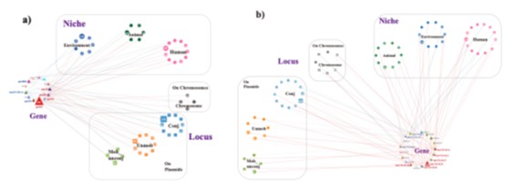Figure 2. Cross-sectoral dissemination and genomic context of high-risk ARGs.