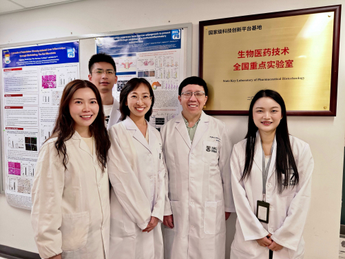 HKUMed uncovered the mechanism behind bone strength, paving the way for novel osteoporosis treatment. The research was led by Professor Xu Aimin (second right) and Dr Wang Baile (second left, front row) from the Department of Medicine, the School of Clinical Medicine, HKUMed.